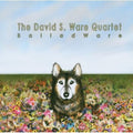 Ware,david S - Balladware - Music CD