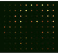 Bondy,jean Paul - Path Of Most Resistors - Music CD