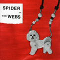 Spider & The Webs - Frozen Roses - Vinyl Record