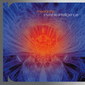 Mandorla - Invisible Intelligence - Music CD