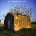 Lally,joe - There To Here - Music CD