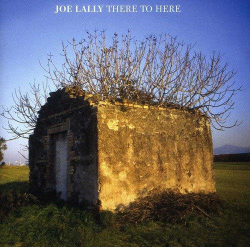 Lally,joe - There To Here - Music CD