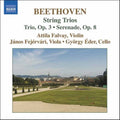 Beethoven / Falvay / Fejervari / Eder - String Trios - Music CD