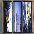 Fernando - Dreams Of The Sun & Sky - Music CD