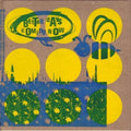 Sisterhood Of Convoluted Thinkers - Better Days - Music CD