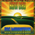 Big Mountain - New Day - Music CD