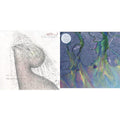 Alt-J - Dream (Milky Clear LP Vinyl) (I) & Awesome Wave
