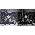 Allman Brothers Band - Live At Fillmore East & At Fillmore East (2LP)