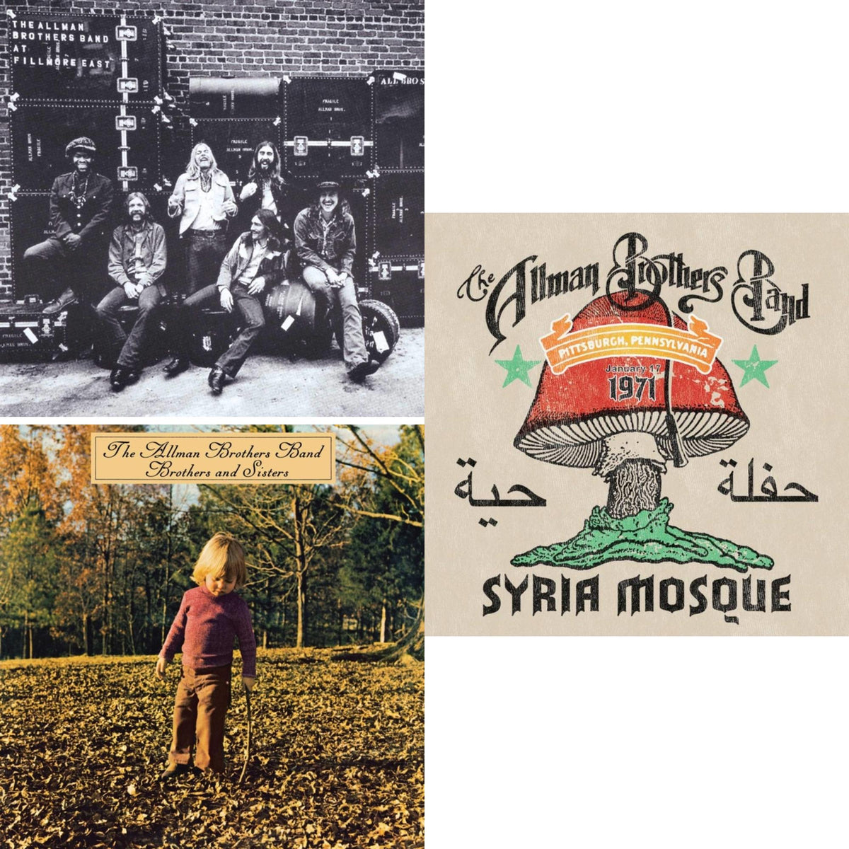 Live At Fillmore East & Brothers & Sisters & Syria Mosque: Pittsburgh, Pa January 17, 1971 (Live) (Pittsburgh Steel Gray Vinyl/2LP)