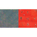 Animal Collective - Hollinndagain & Merriweather Post Pavilion (15Th Anniversary) (Deluxe/Bluish & Translucent Green Vinyl/2LP)