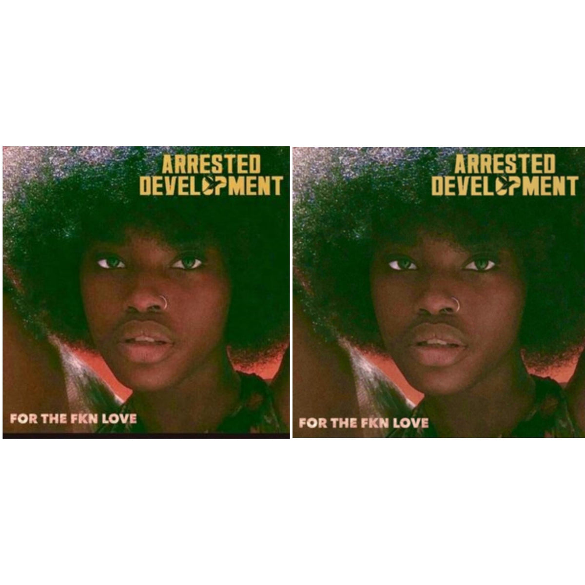 Arrested Development - For The Fkn Love & For The Fkn Love - LP Vinyl Bundle