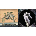 Arcade Fire - Reflektor (2LP/180G) & Funeral (150G/Gatefold)