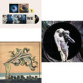 Reflektor (2LP/180G) & We (180G) & Funeral (150G/Gatefold)