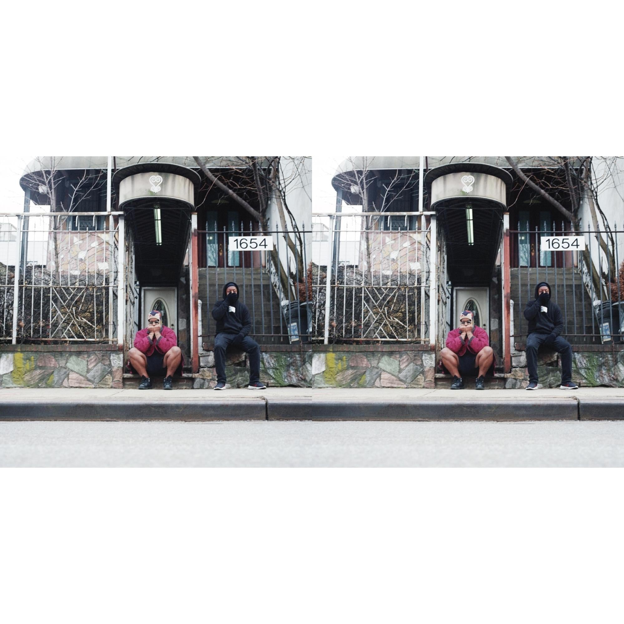 Armand Hammer - We Buy Diabetic Test Strips (2LP/Grape Vinyl) & We Buy Diabetic Test Strips