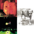 Jar Of Flies & Live & Alice In Chains