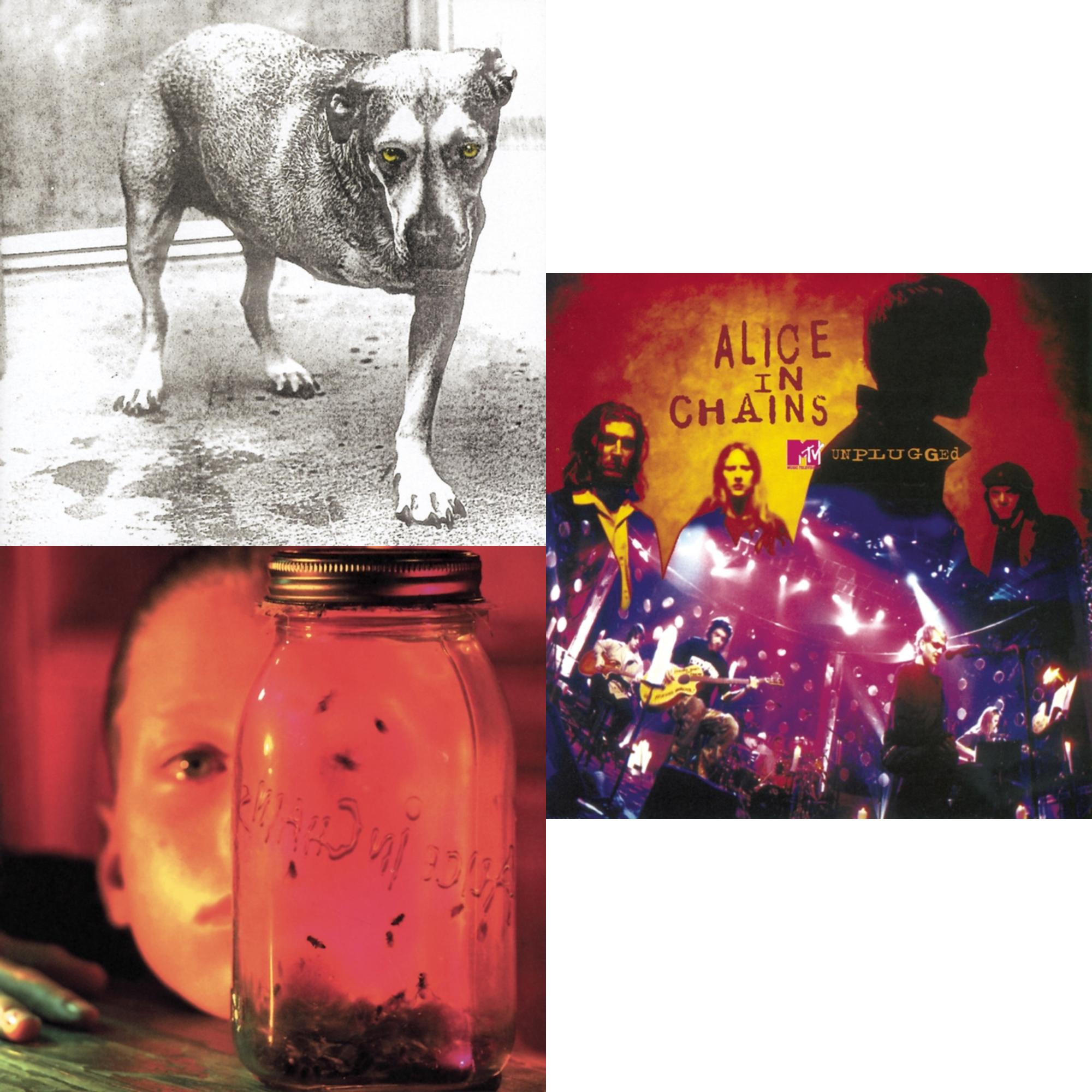 Jar Of Flies & Unplugged & Alice In Chains
