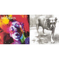 Facelift & Alice In Chains