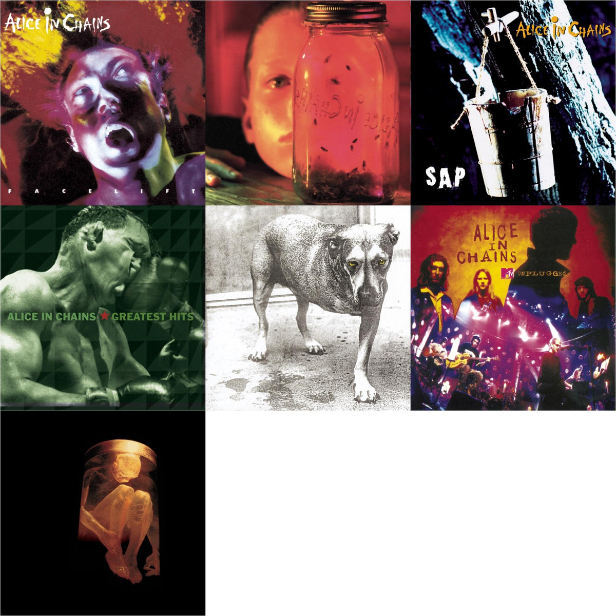 Jar Of Flies & Greatest Hits & Unplugged & Sap & Nothing Safe: Best Of The Box & Facelift & Alice In Chains
