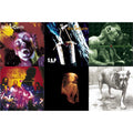 Greatest Hits & Unplugged & Sap & Nothing Safe: Best Of The Box & Facelift & Alice In Chains