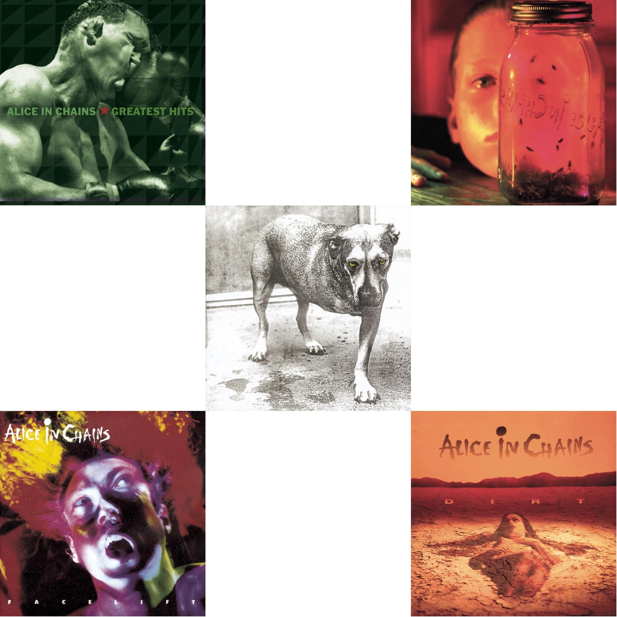 Dirt & Jar Of Flies & Greatest Hits & Facelift & Alice In Chains
