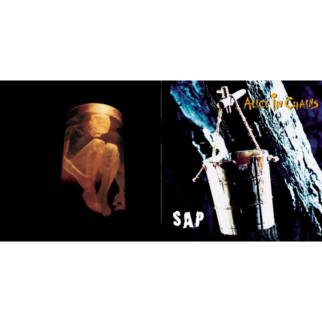 Sap & Nothing Safe: Best Of The Box