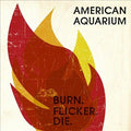 BURN.FLICKER.DIE Vinyl Record