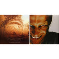 Selected Ambient Works Volume Ii (Expanded Edition) (4LP) & Richard D. James Album