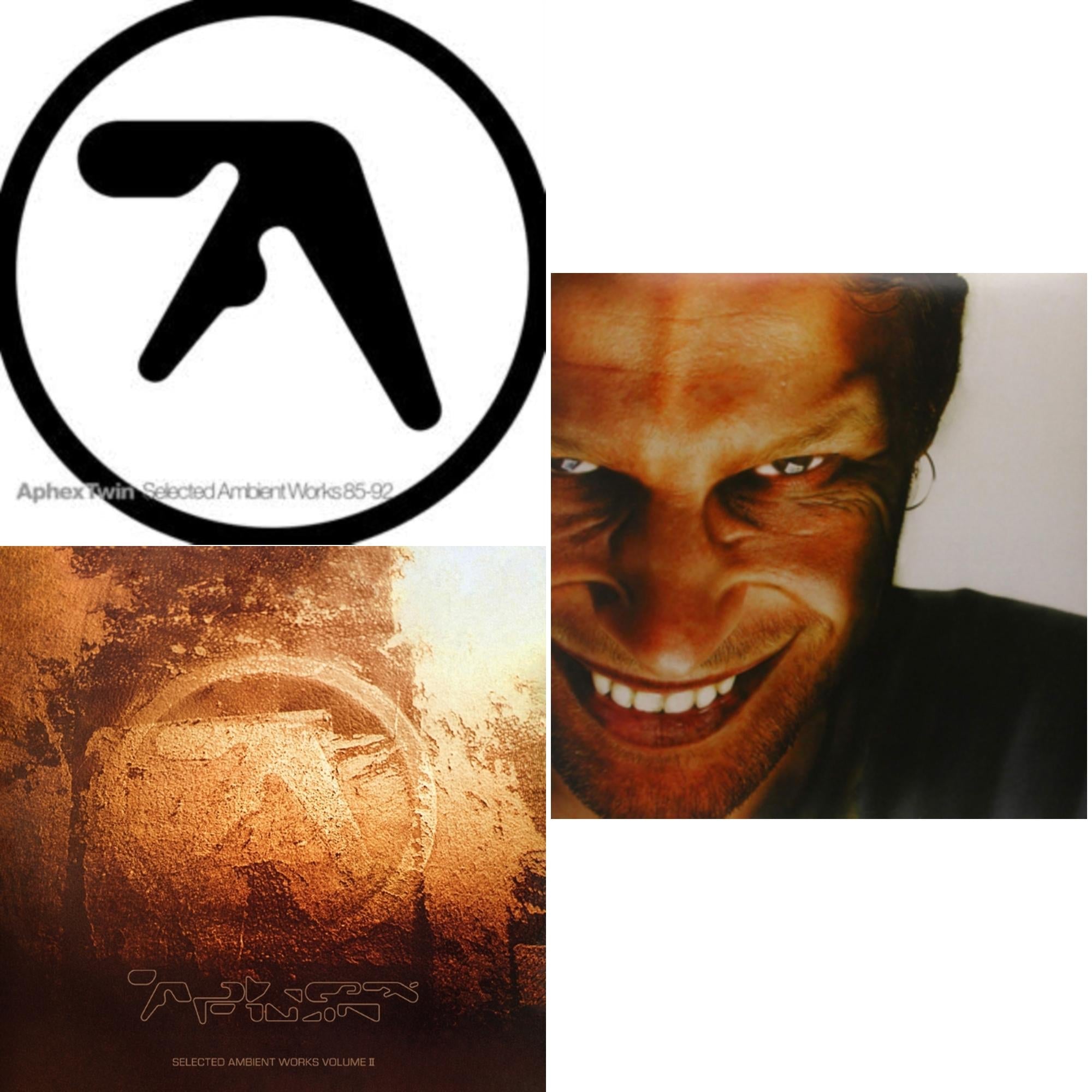 Selected Ambient Works 85-92 & Selected Ambient Works Volume Ii (Expanded Edition) (4LP) & Richard D. James Album