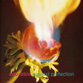 Adorable - Against Perfection [Red & Blue Marble 180-Gram]