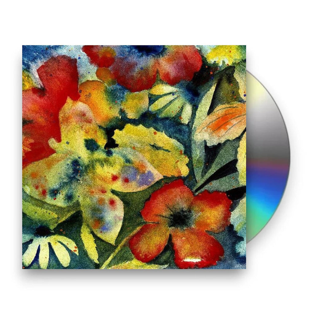 Adrianne Lenker – Songs And Instrumentals (2-CD) Music CD