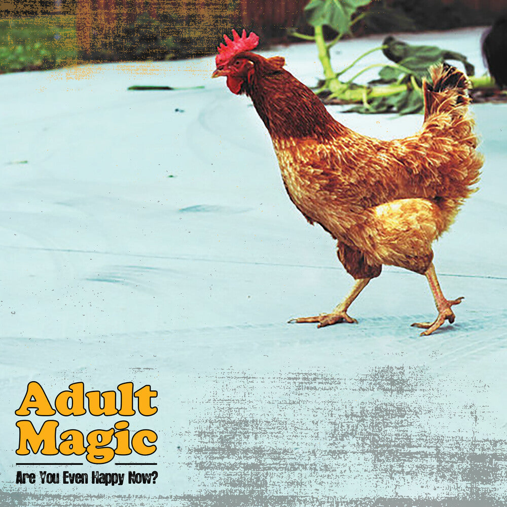 Adult Magic – Are You Even Happy Now (LP Vinyl) Vinyl Record
