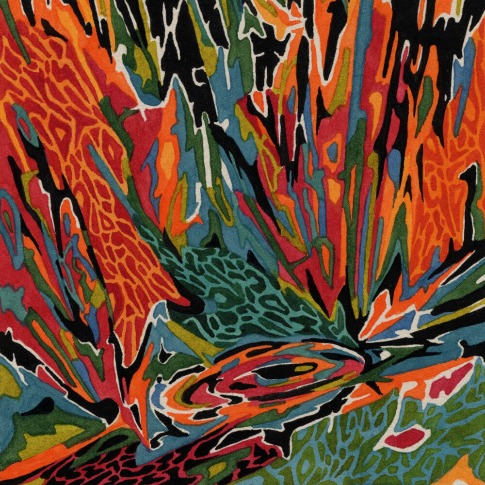 Akusmi – Terra Incognita (LP Vinyl) Vinyl Record