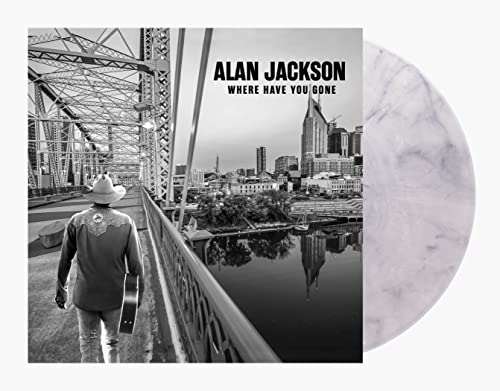 Where Have You Gone [Black & White Swirl 2 LP] (Vinyl) Vinyl Record