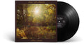 Alex Amen – Sun Of Amen (LP Vinyl) Vinyl Record