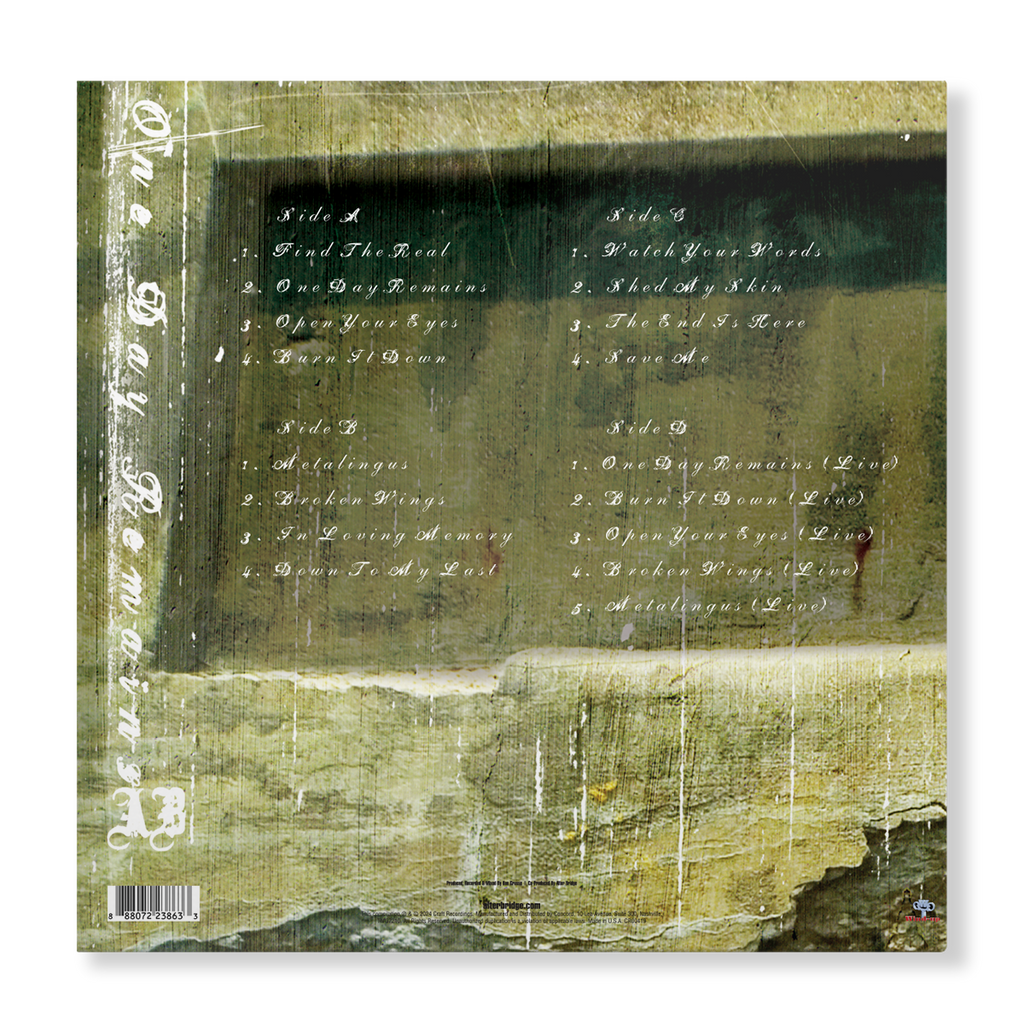 One Day Remains (2 LP) Vinyl Record