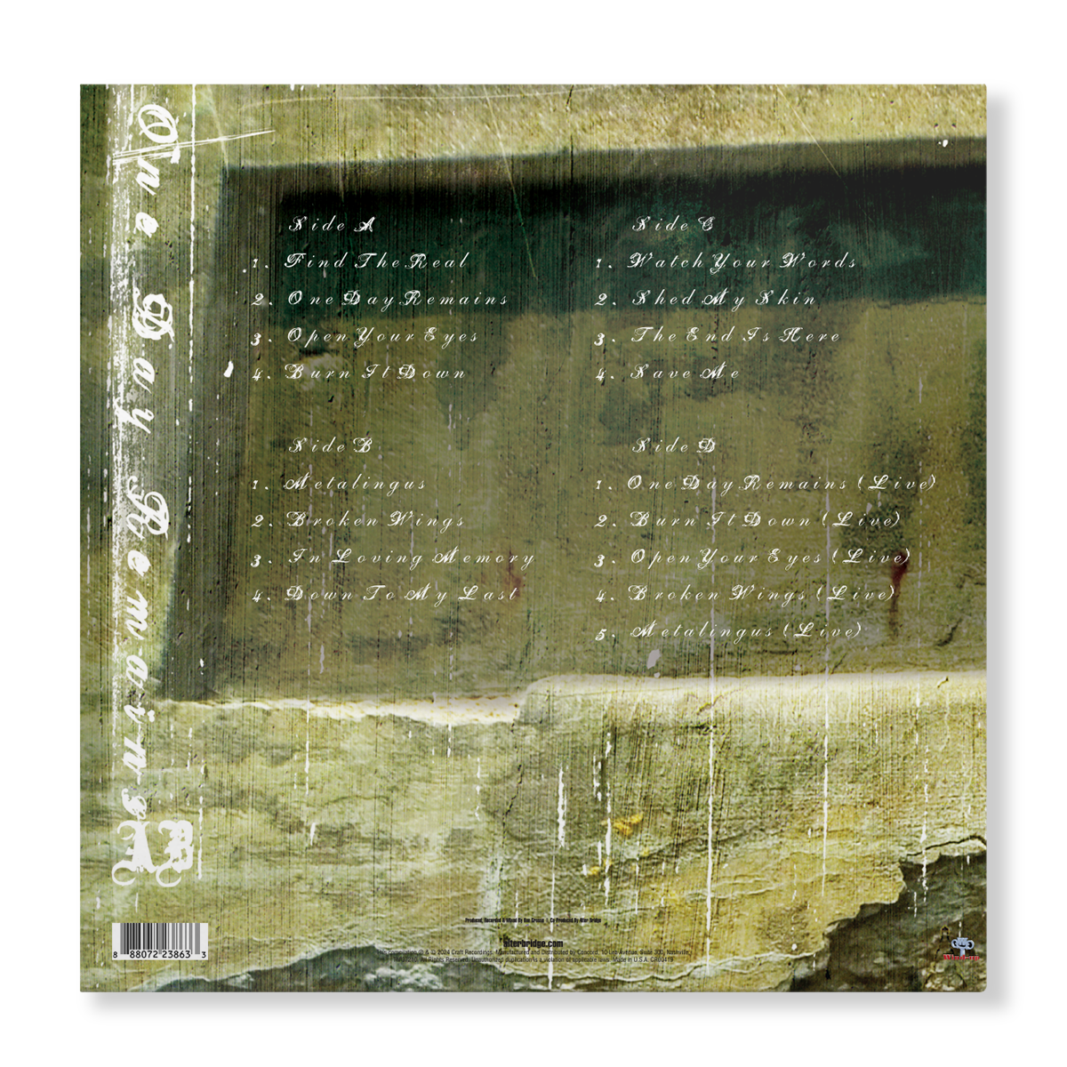 One Day Remains (2 LP) Vinyl Record