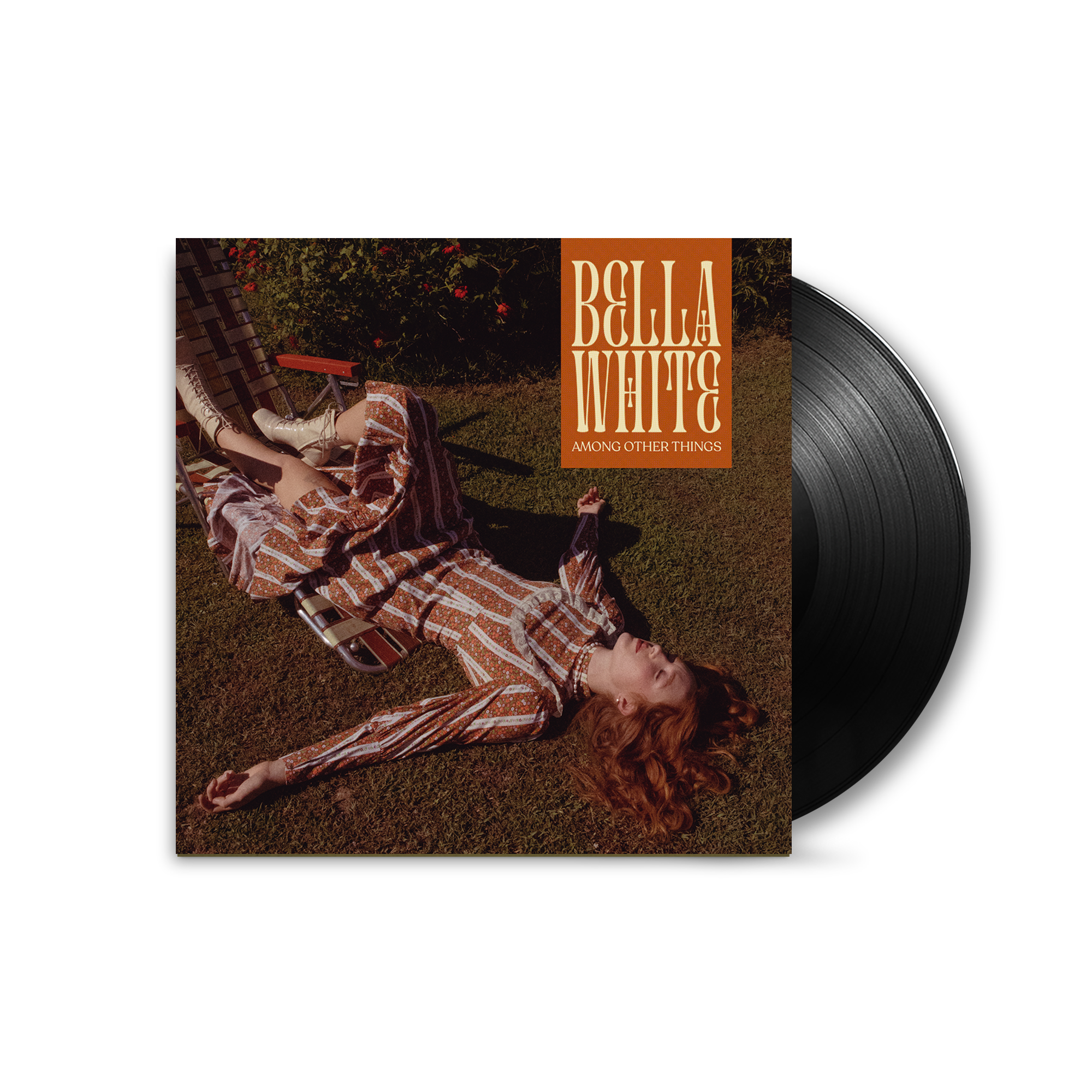 Among Other Things - Black Vinyl Record