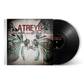 Suicide Notes and Butterfly Kisses Vinyl Record