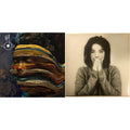 Bjork - Debut & Bastards: Remix - LP Vinyl Bundle