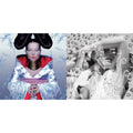 Homogenic & Vespertine