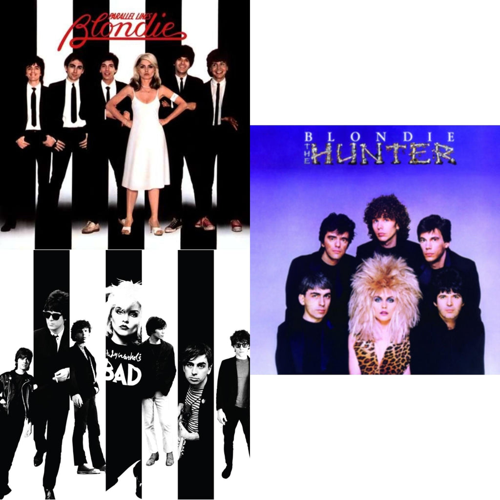 Parallel Lines (180G) & Hunter (180G) & Against The Odds: 1974 - 1982 (4LP)
