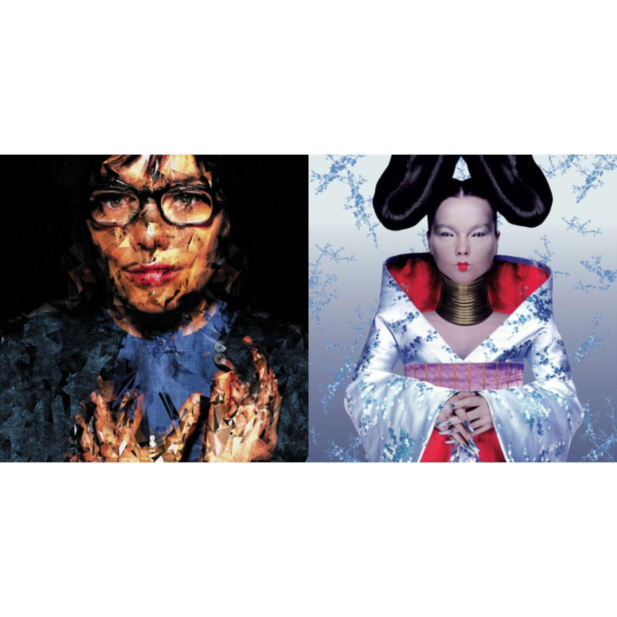 Bjork - Homogenic & Selma Songs - LP Vinyl Bundle