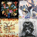 Accidents & Pretty Girls & Bring Me Back A Pyramid & Leaves & Fodder For Showtime