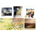 Foreverandevernomore & Forever Voiceless (Crystal Clear LP Vinyl) & Another Green World (140G/2017 Master) & Ambient 1: Music For Airports & Ambient 4: On Land & Small Craft On A Milk Sea (2LP/Dl Card)