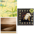 Taking Tiger Mountain (By Strategy) (140G/2017 Master) & Ambient 1: Music For Airports & Small Craft On A Milk Sea (2LP/Dl Card)
