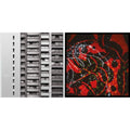 Nerve Net (2LP/Gatefold/Dl) & Top Boy Ost (2LP/Limited/Crystal Clear Vinyl/180G)