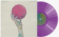 BROKEN BELLS INTO THE BLUE Vinyl Record