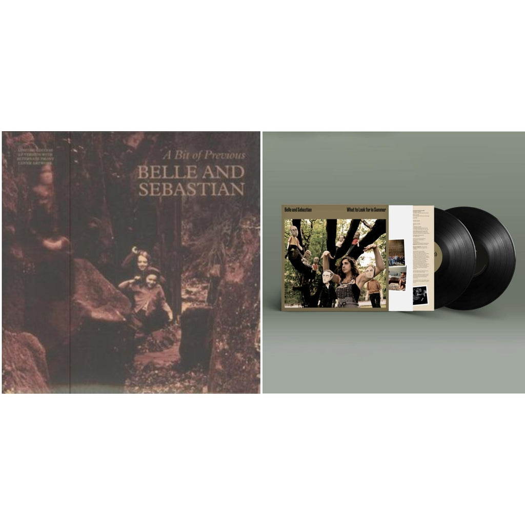 What To Look For In Summer (2LP) & Bit Of Previous (I)
