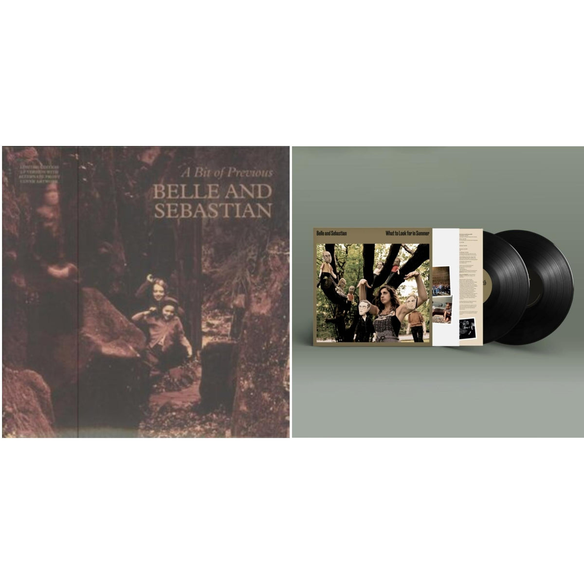 What To Look For In Summer (2LP) & Bit Of Previous (I)
