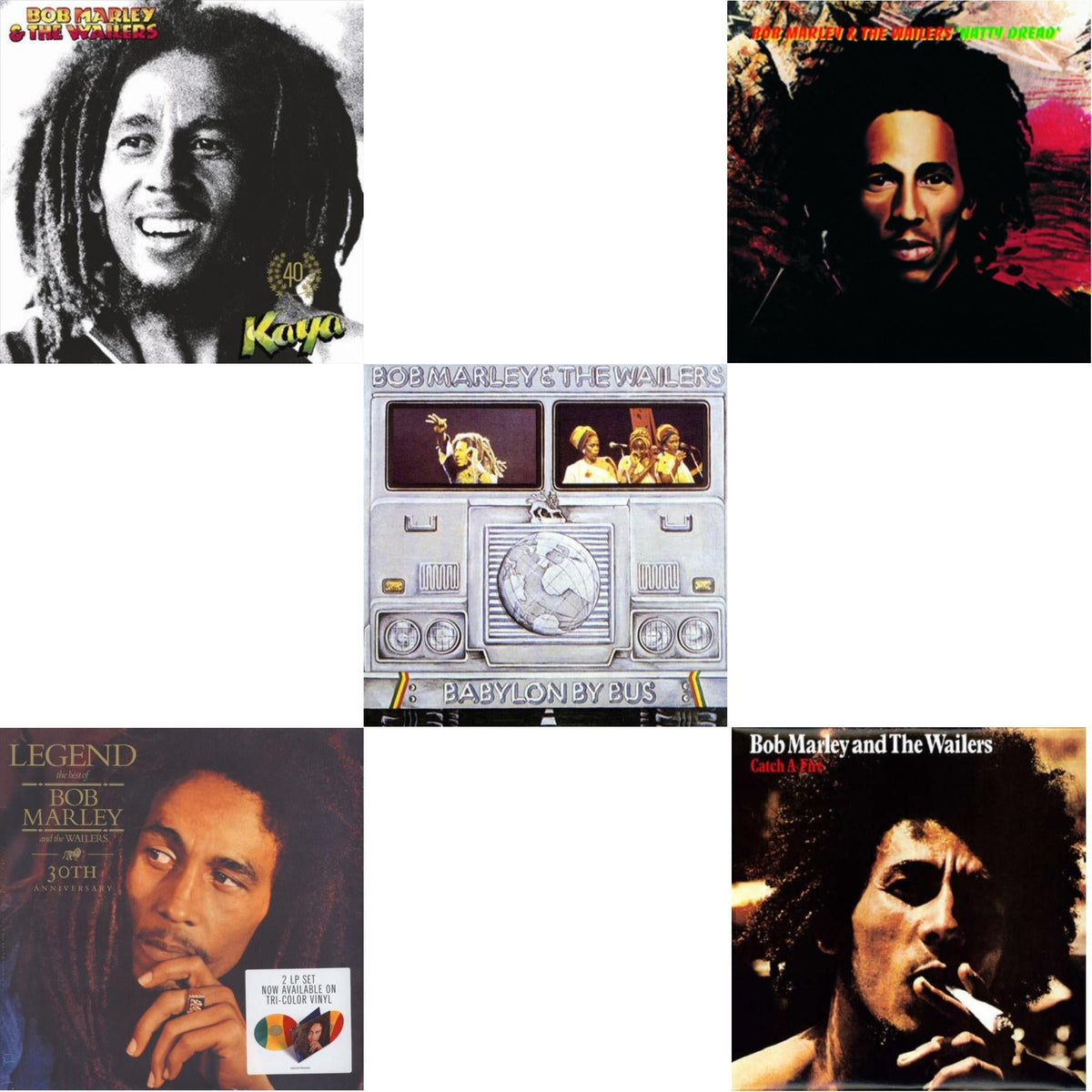 Natty Dread (180G) & Catch A Fire & Legend (30Th Anniversary) & Babylon By Bus & Kaya 40 (2LP)